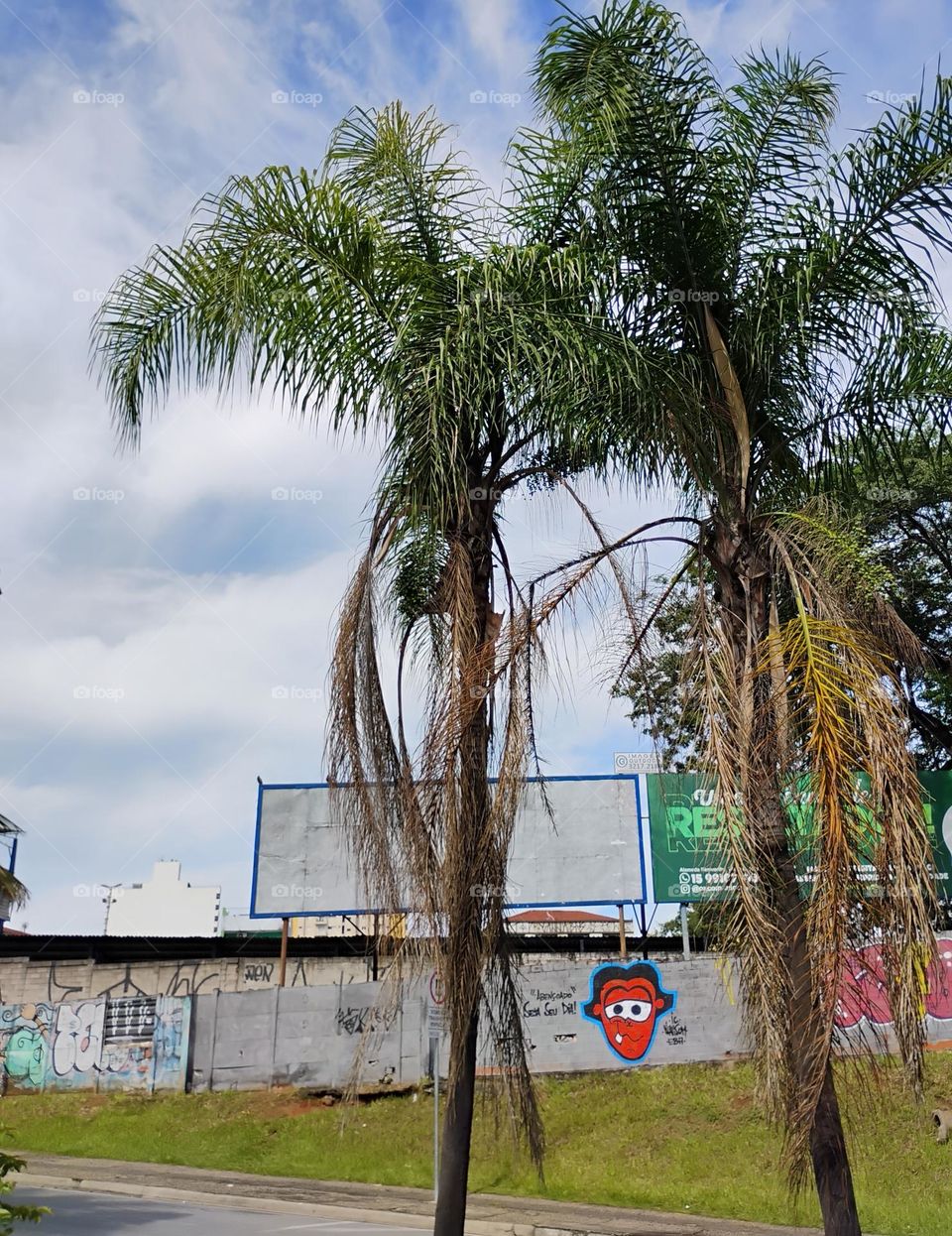 Arte no muro é um termo, que pode ser referir a grafite, moralismo ou outras formas de expressão artística. Grafite é uma forma de arte urbana, que consiste em pinturas e desenhos feitos em muros e paredes públicas