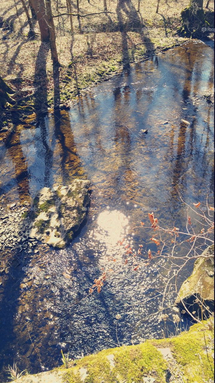 Shimmering creek on an early spring day