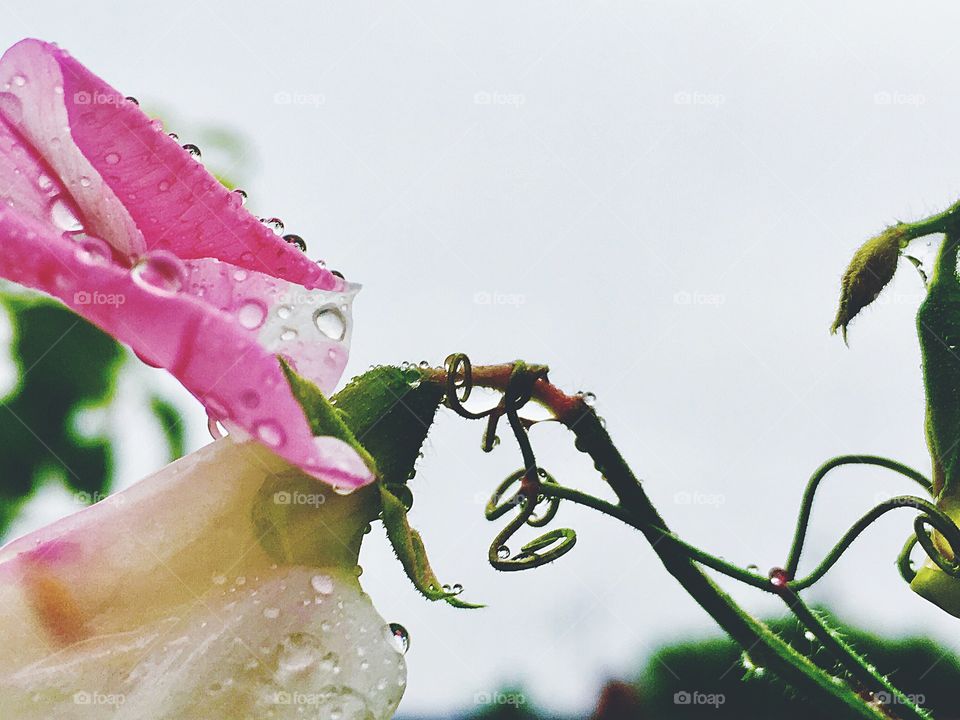 Captured with iPhone 6s Plus 