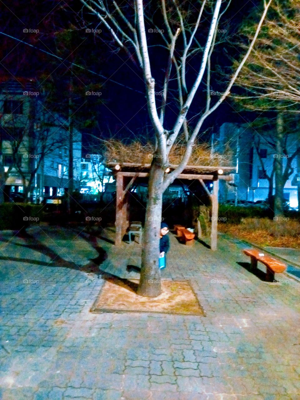 Some one  is hiding at the back of the tree.
A cute little boy who played hide and seek at the middle of the cold night.