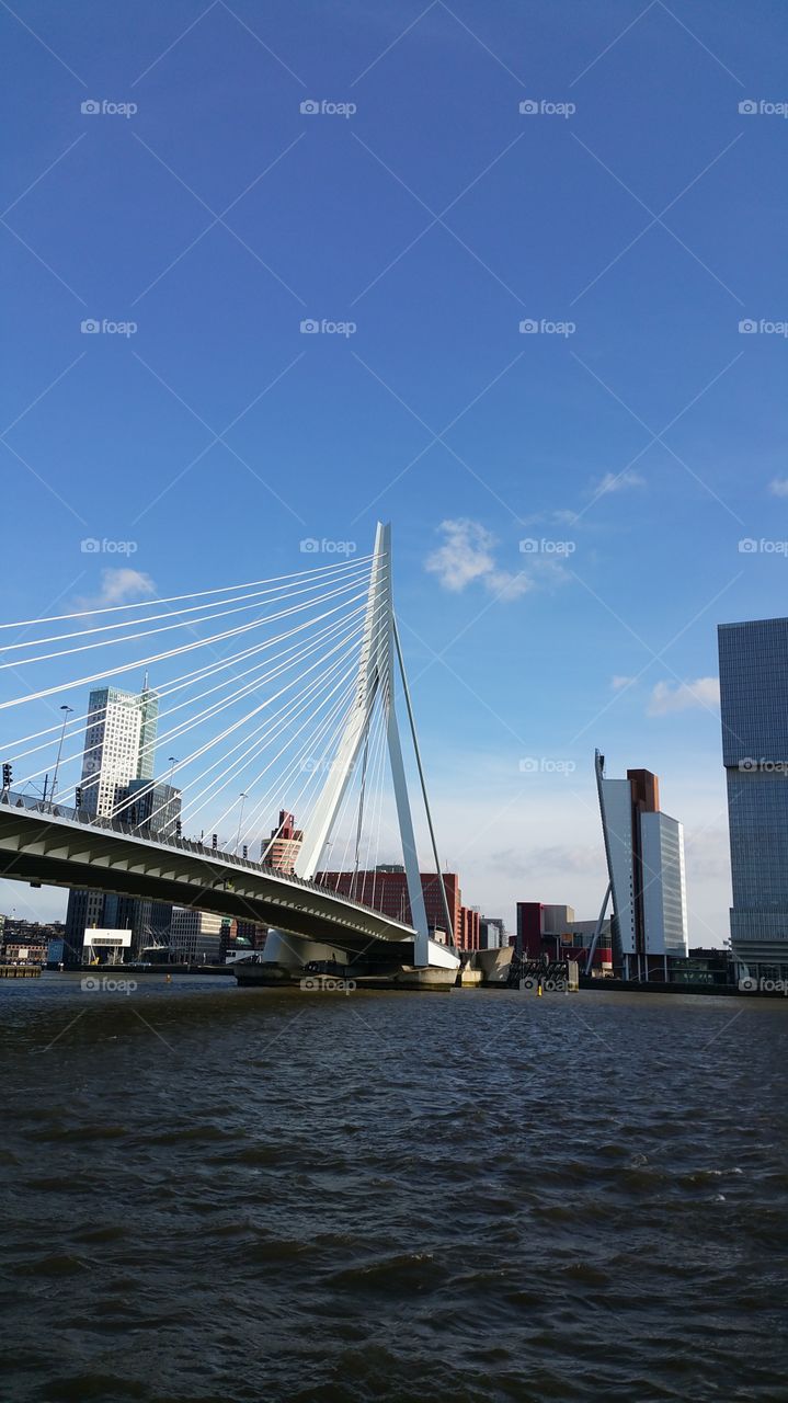Rotterdam