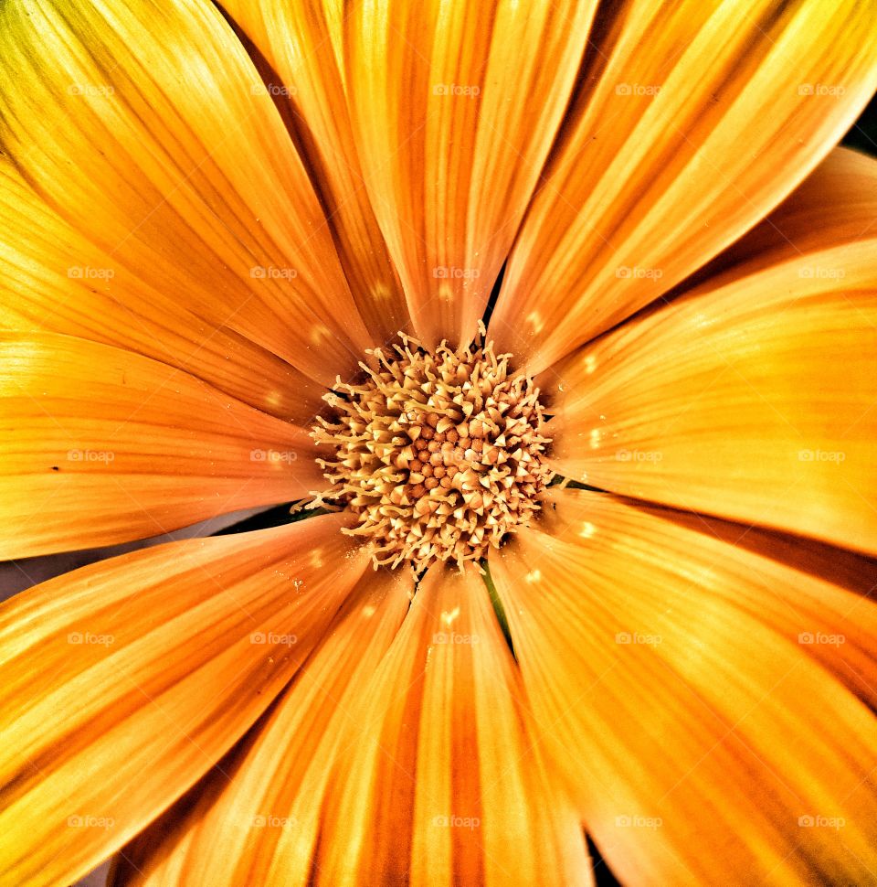 sundaymorningsparkoffer