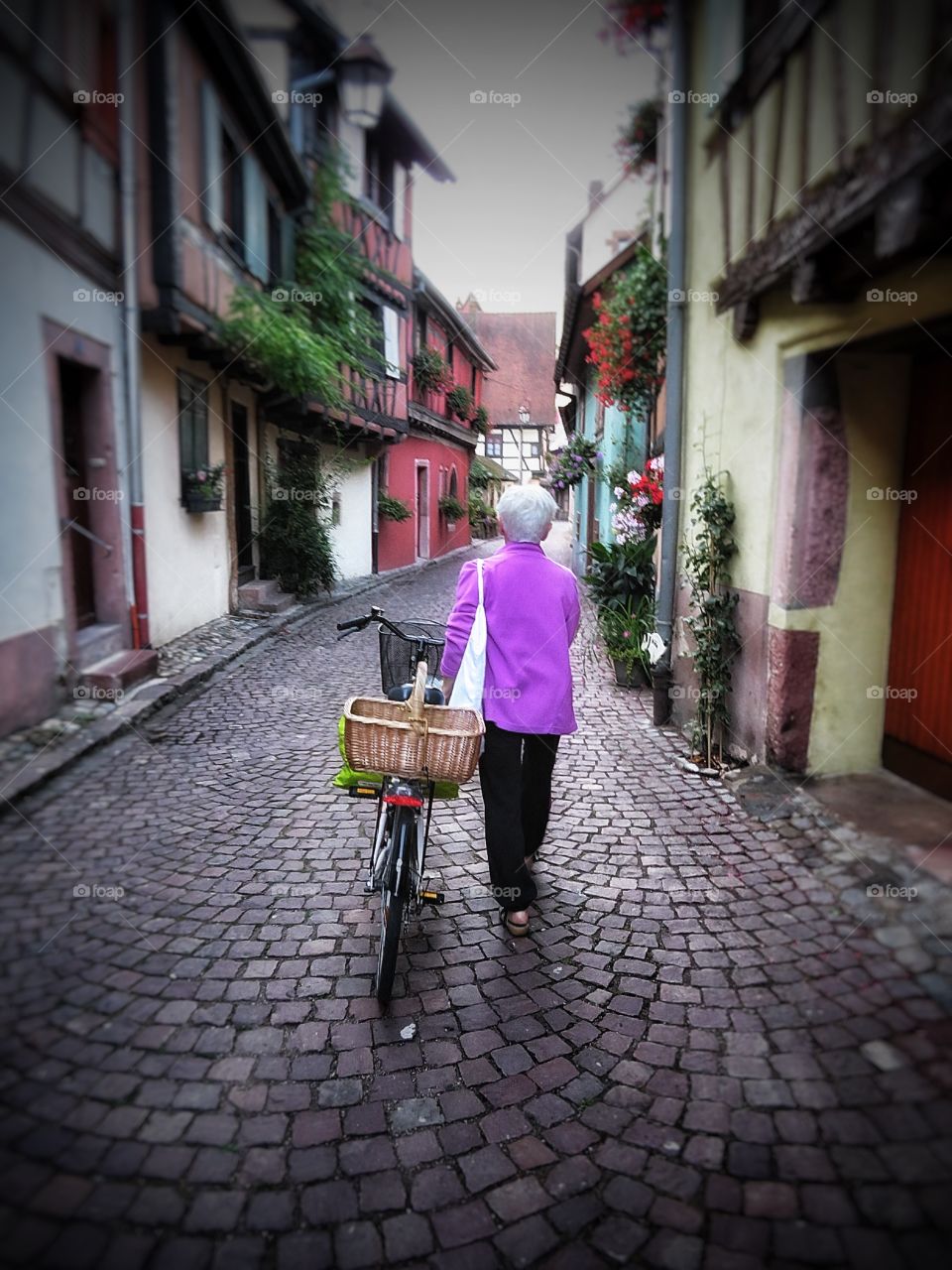 Alsace Kaysersberg Street Scene