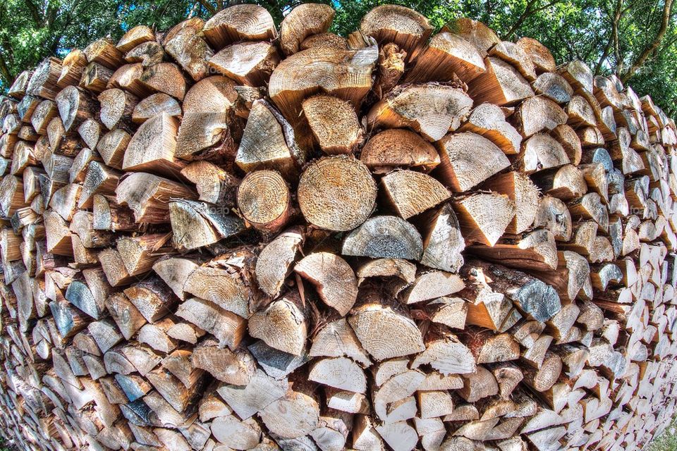 Wood pile