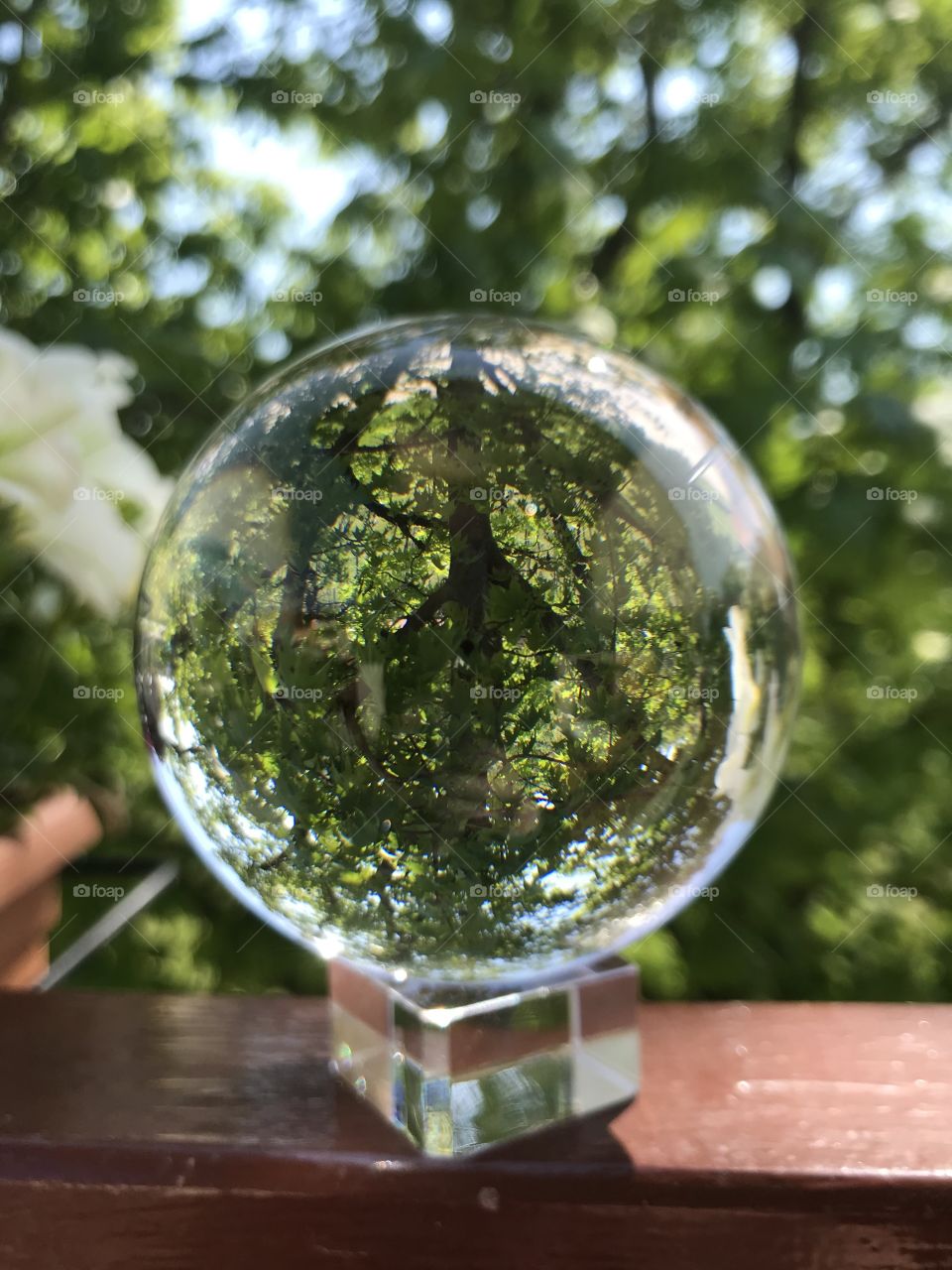 Il mondo alla rovescia🌍