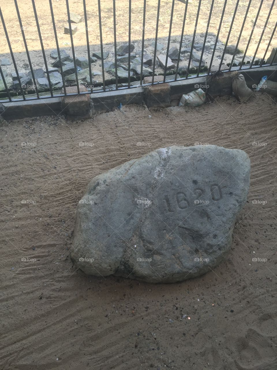 Plymouth Rock 