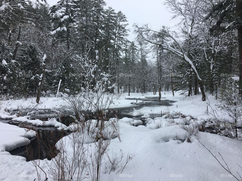 Winter - New Hampshire