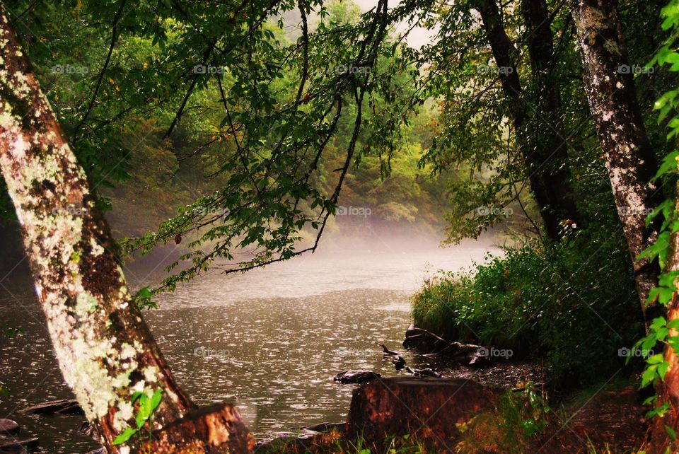 Fog on the River