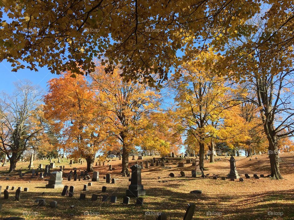 Cemetery in the fall