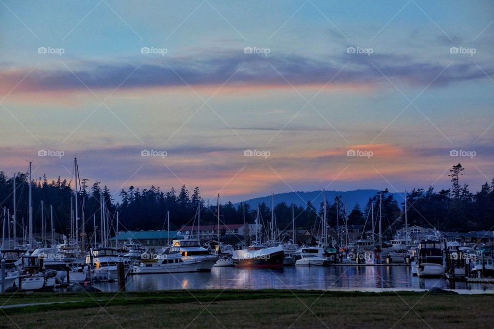 Marina sunset