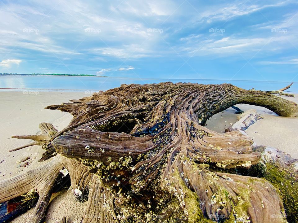 Photo taken at Big Talbot Island 