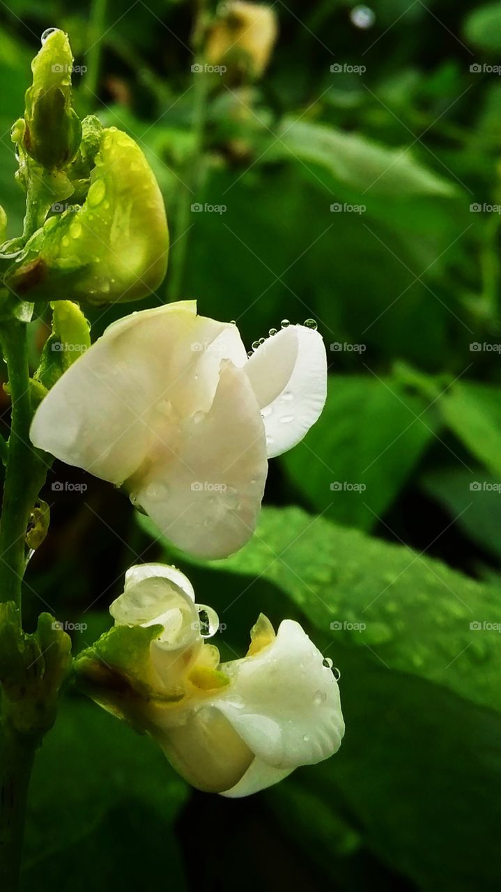 Nature says.. learn to hear