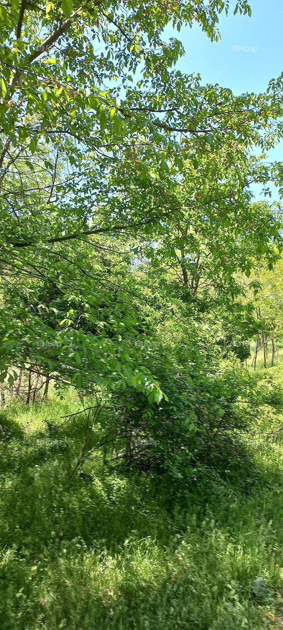 pictures of beautiful nature