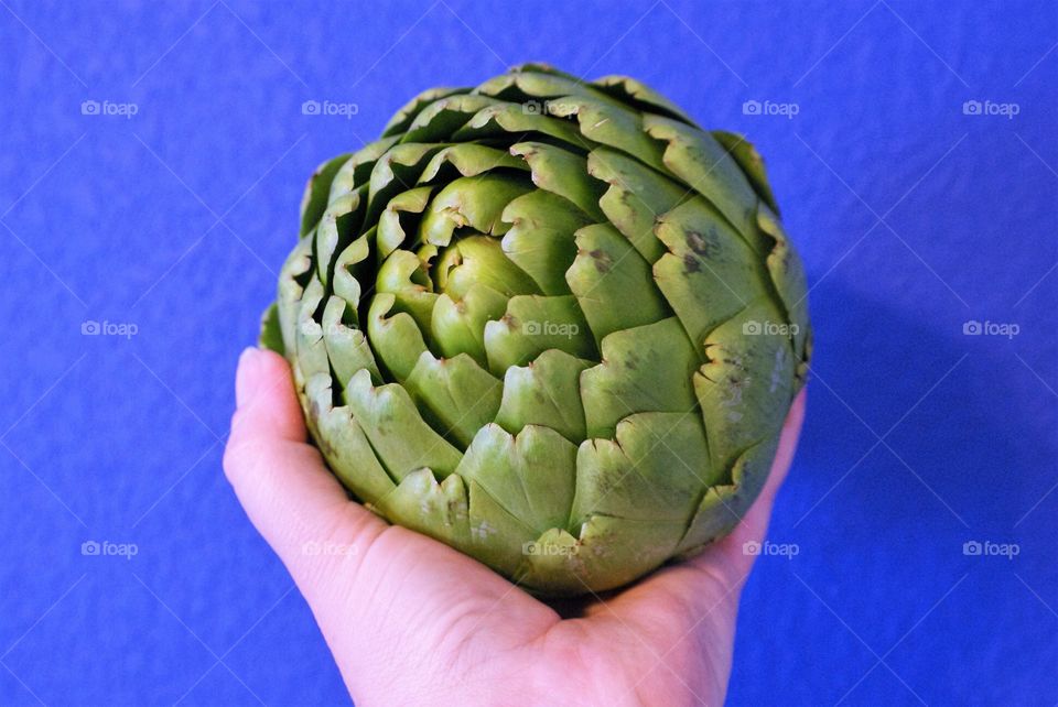 Artichoke 