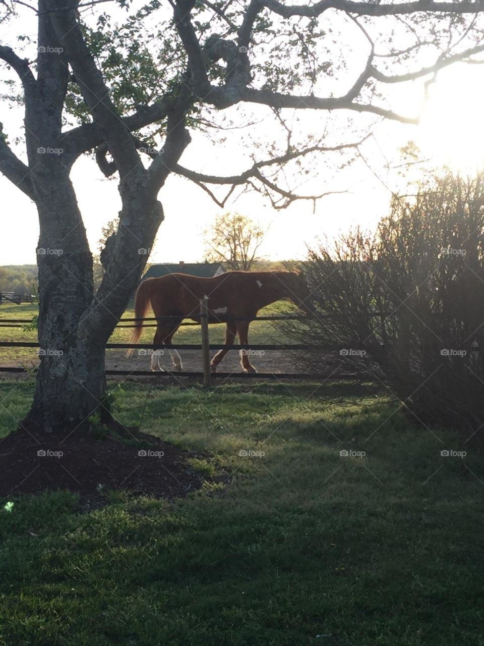 enjoying the weather