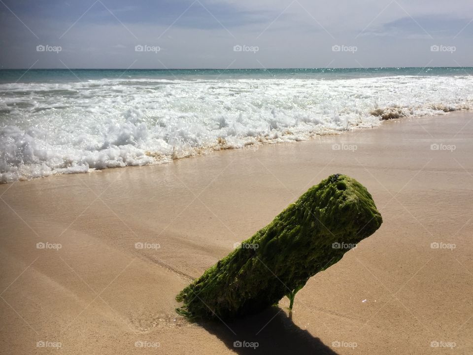 By the Beach at Santa Maria Cape Verde