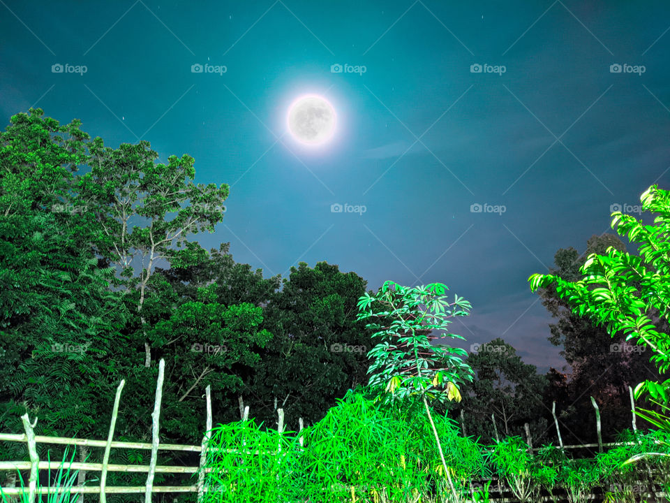 Full moon in the night sky of the garden. A perfect place to enjoy the sky at night. The air feels cool, even if bitten by wild mosquitoes.