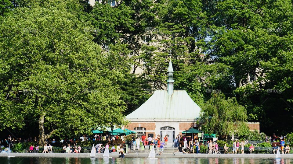 Model boat pond Central Park 