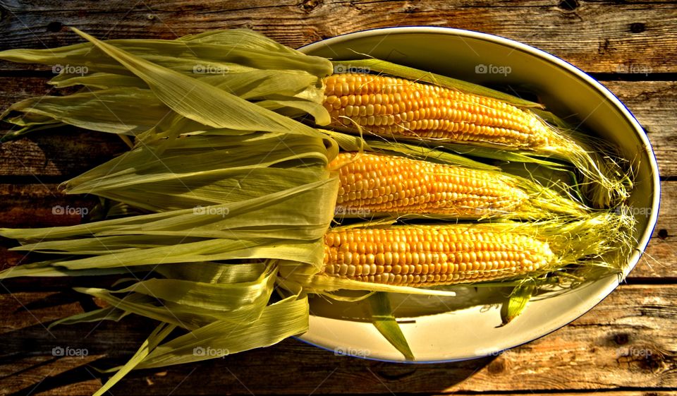 Ears of corn 