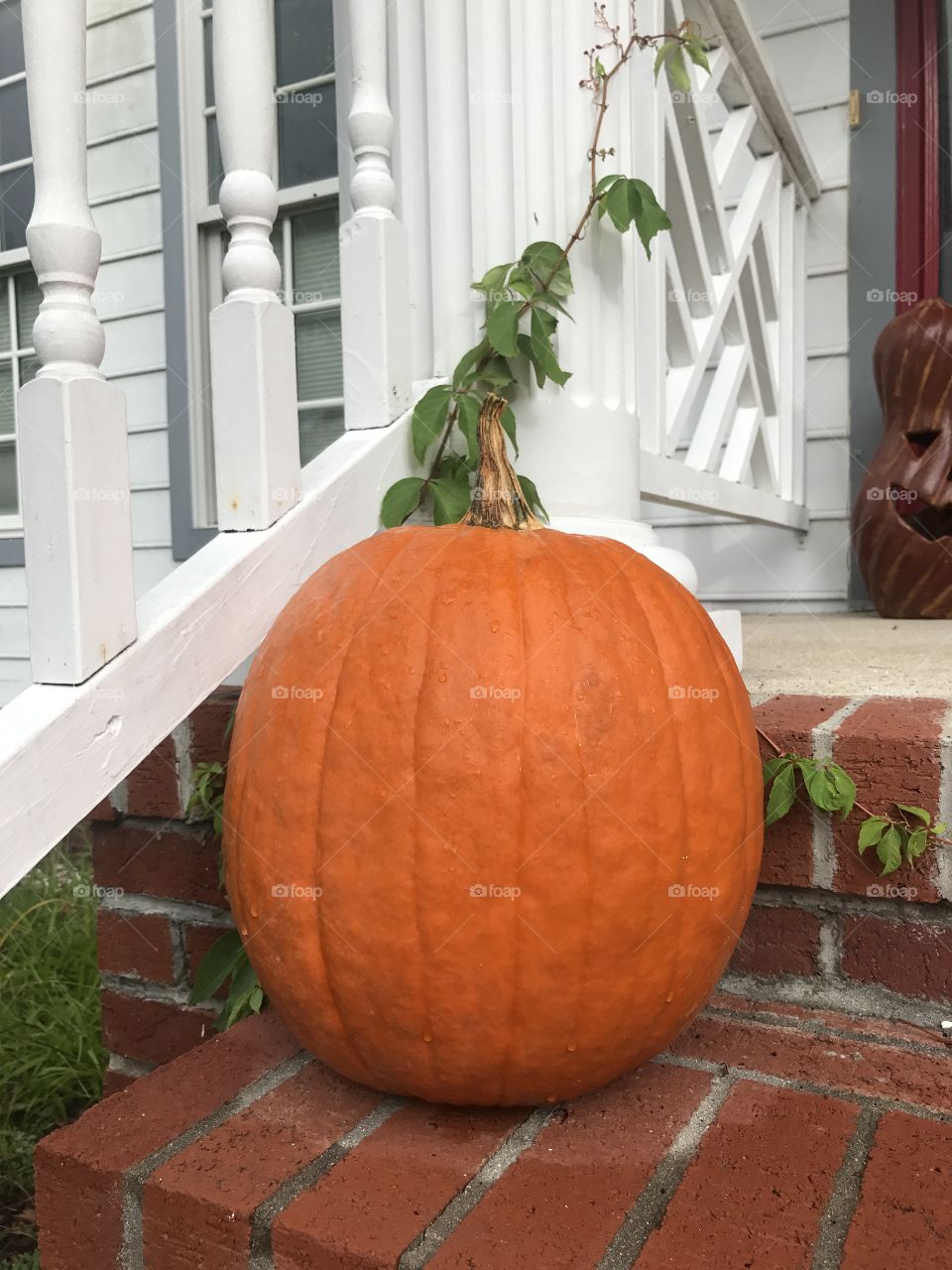 Pumpkin on the porch 