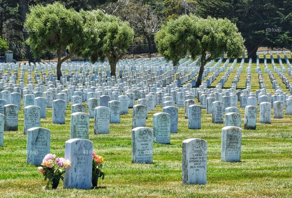 American Veterans Graveyard 