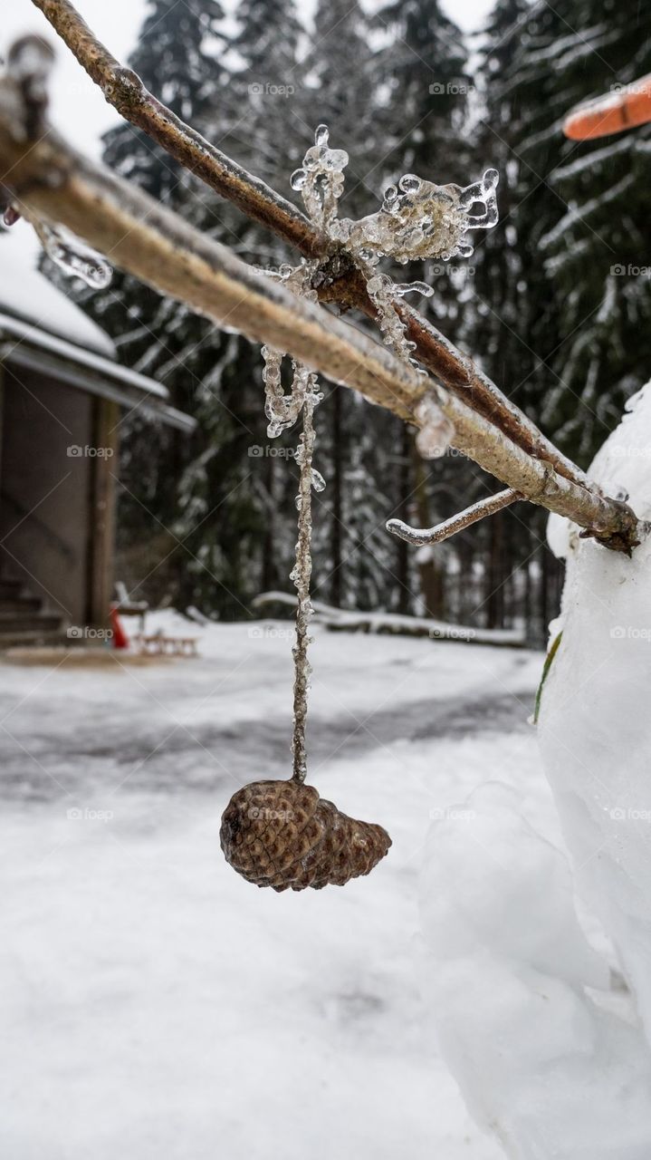 frozen cone number 2