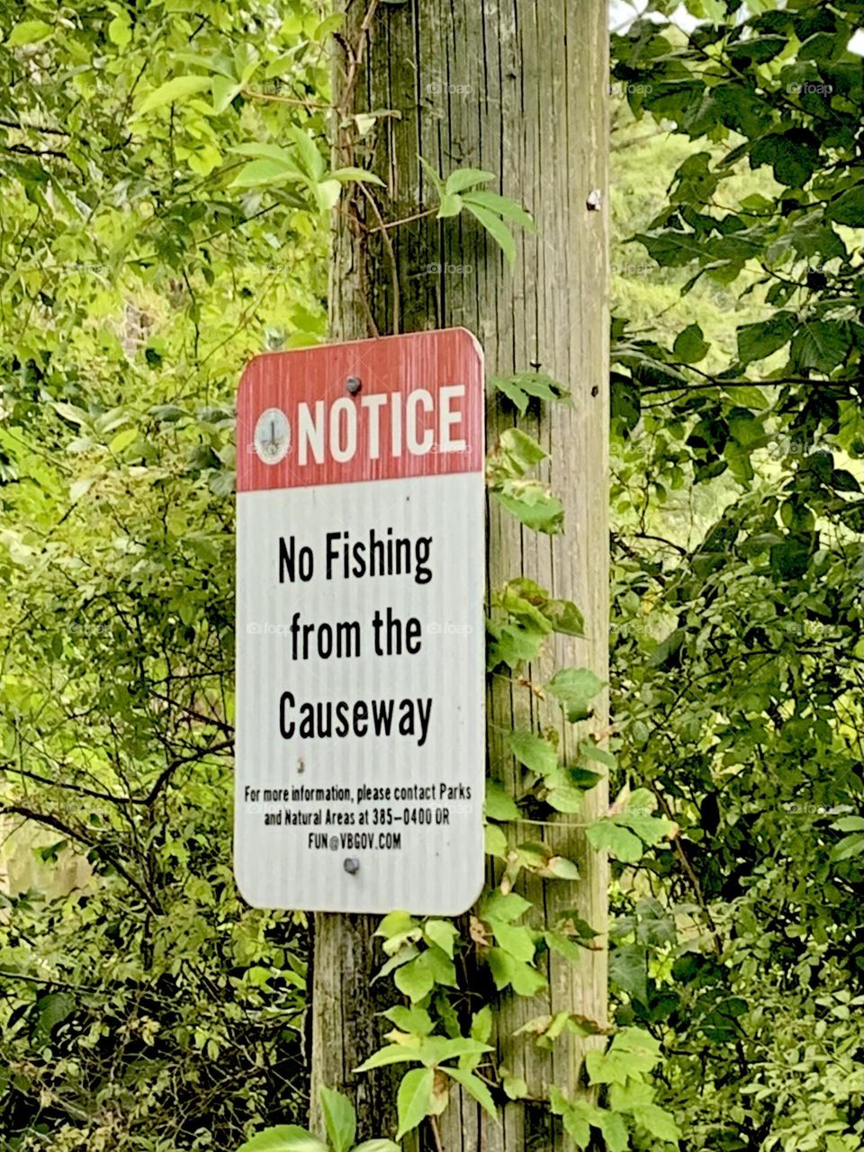 No fishing 