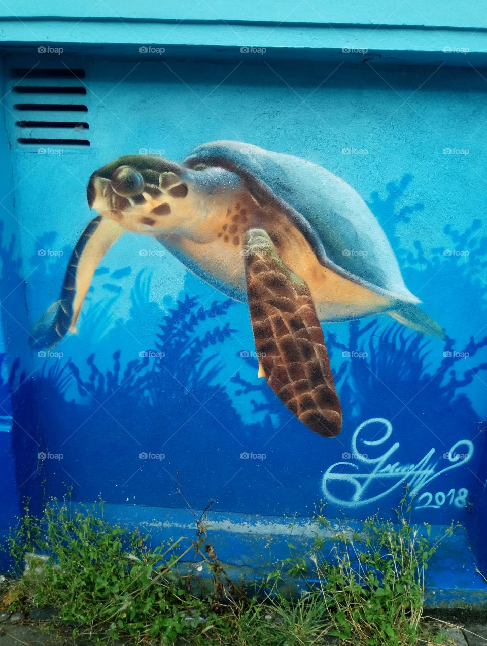 turtle graffiti