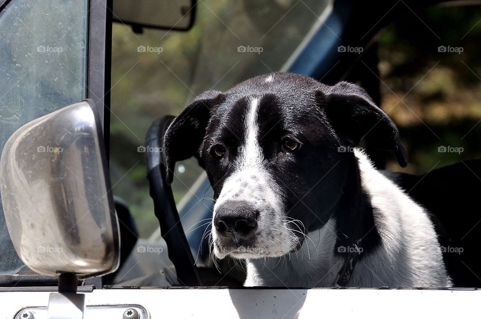 Let's drive around the block boss! 