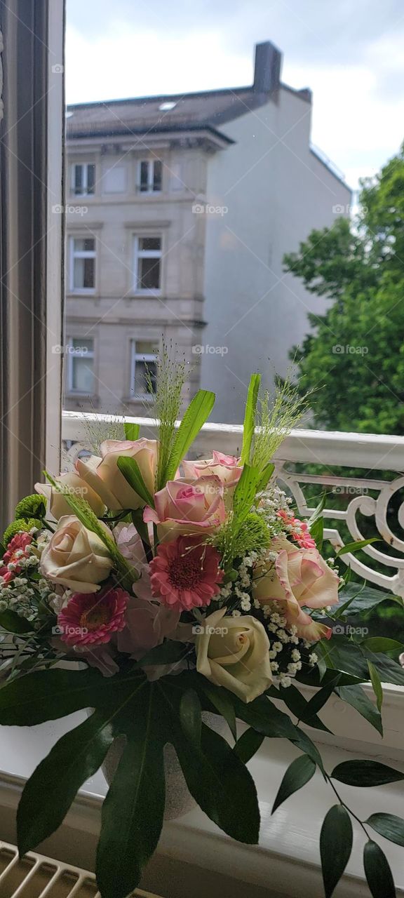 Flowers in the window