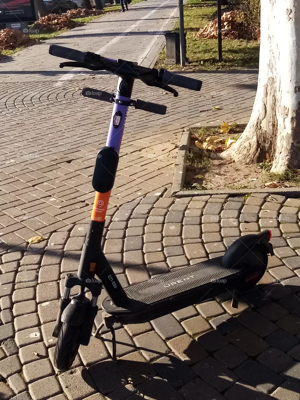 Skuter