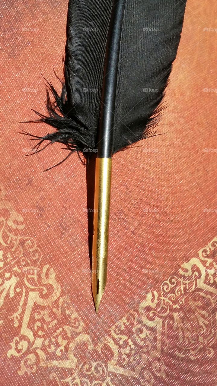 black feather fountain pen. black feather fountain pen's gold nib