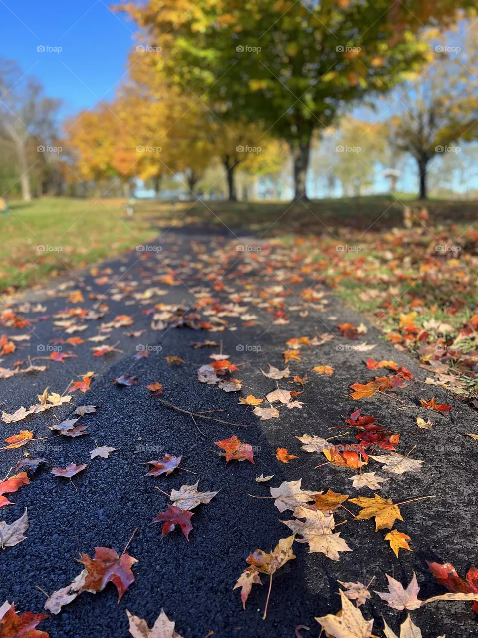 Path of fall