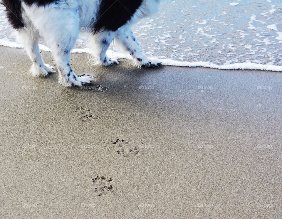 Tiptoeing in the water