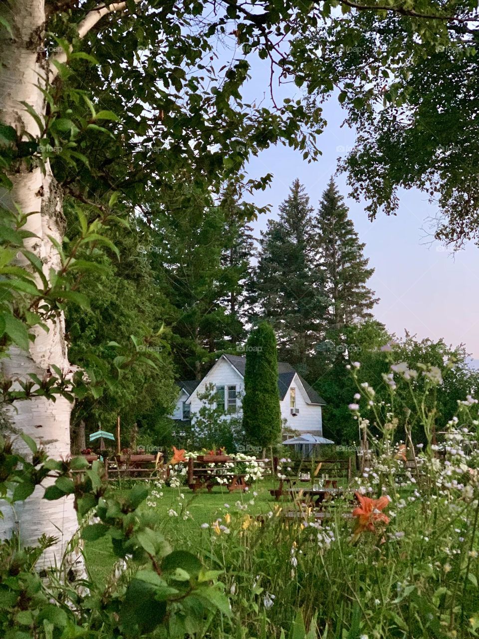 Paradise Outside of Civilization