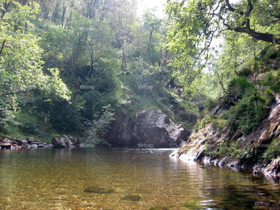 Natural Swimming pool
