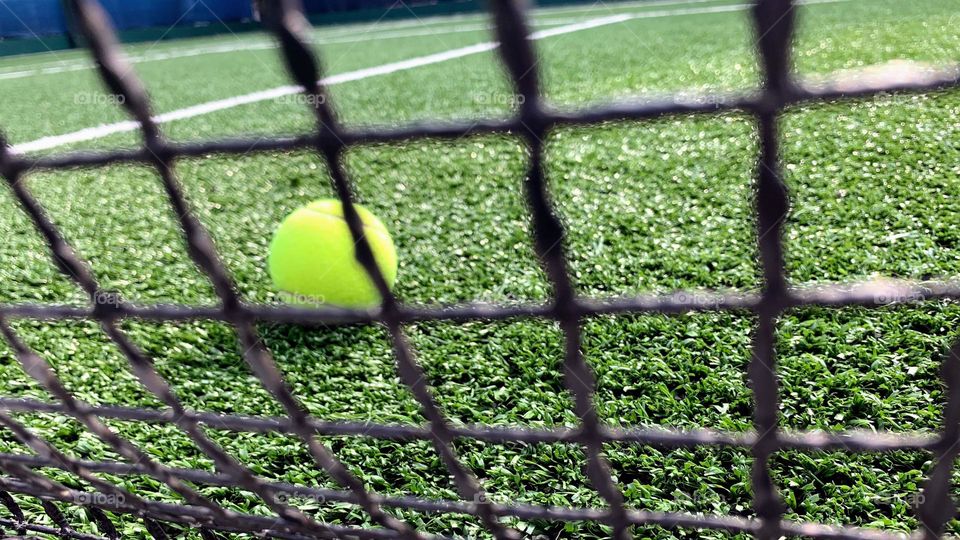 Tennis ball on the grass court