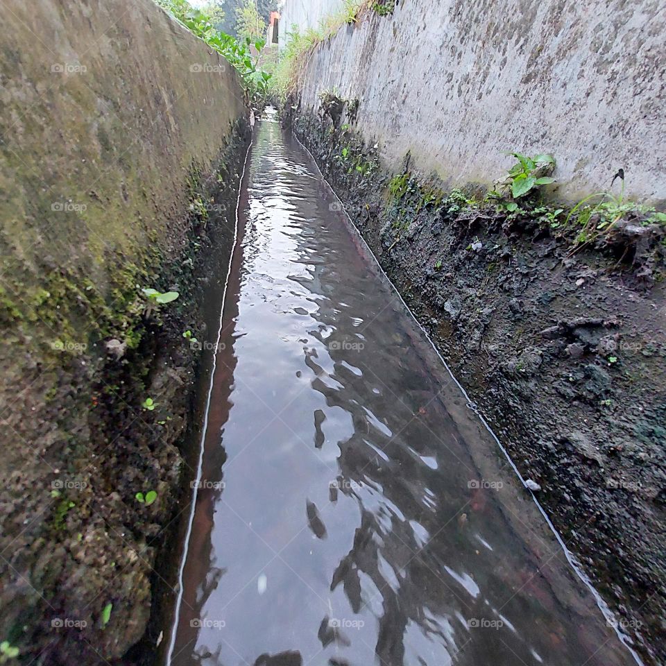 water flow for irrigation in rice fields