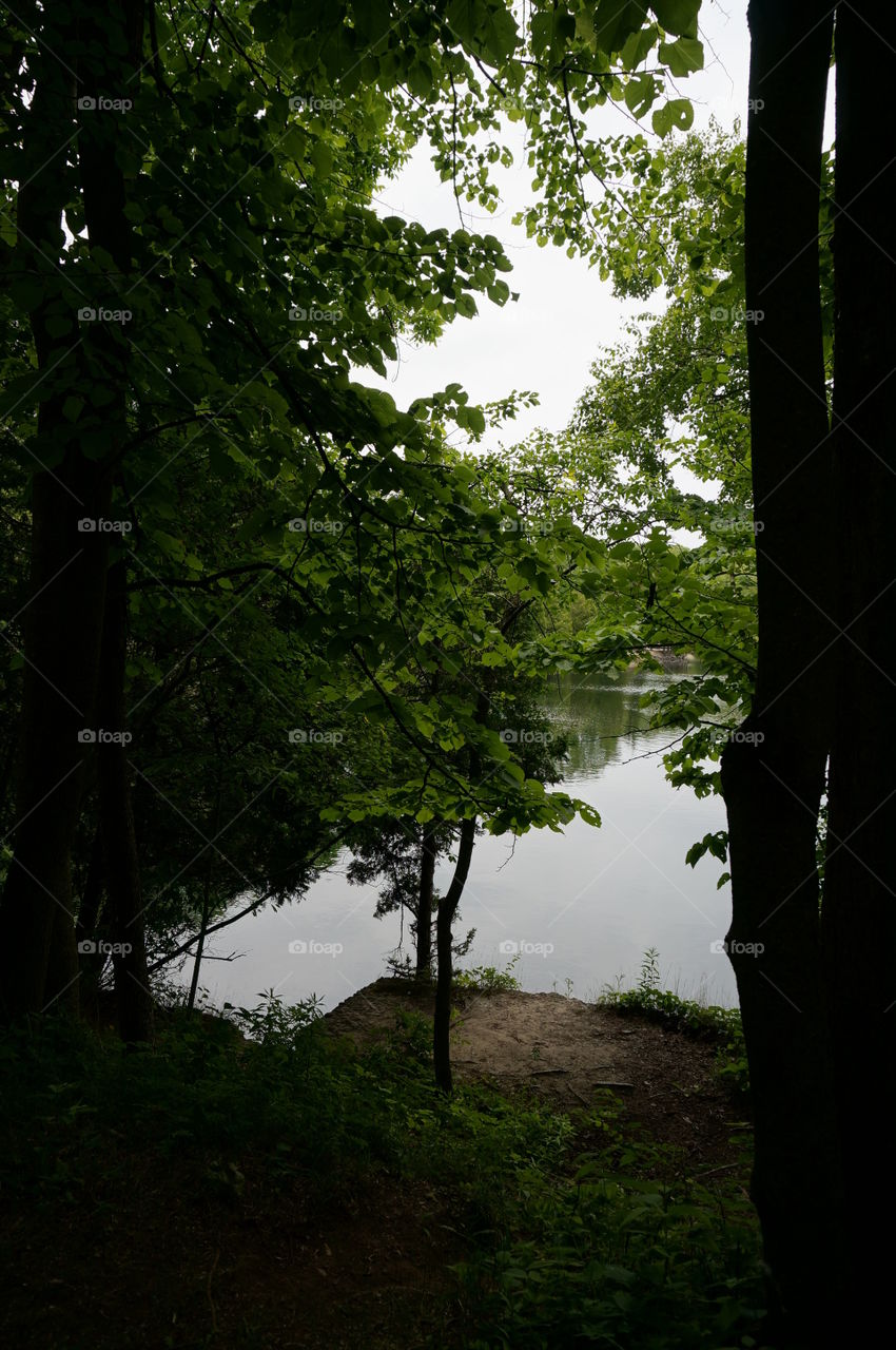 Nature. Quarry Lake