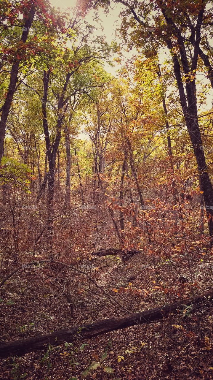 hiking in the fall.  Missouri
