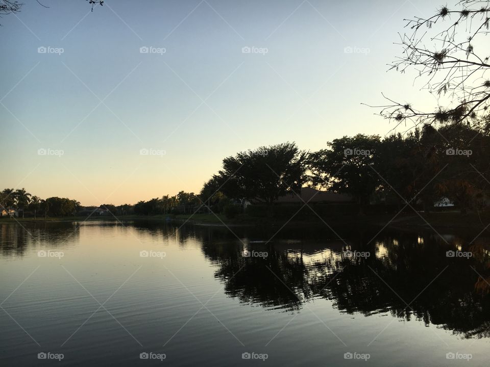 Trees reflection lake