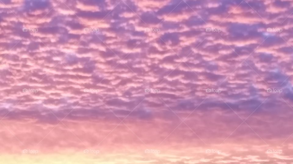 Amazing Pink Purple Sun Rise