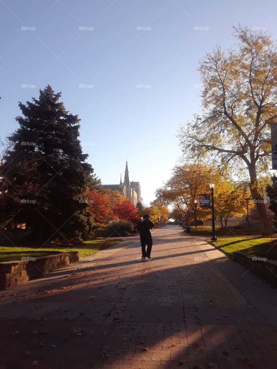 Man walking slowly down the mall on Creighton University in the early morning of the fall