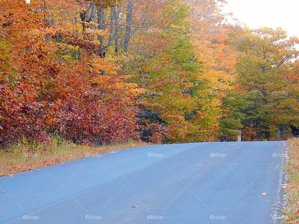 Ontario Autumn