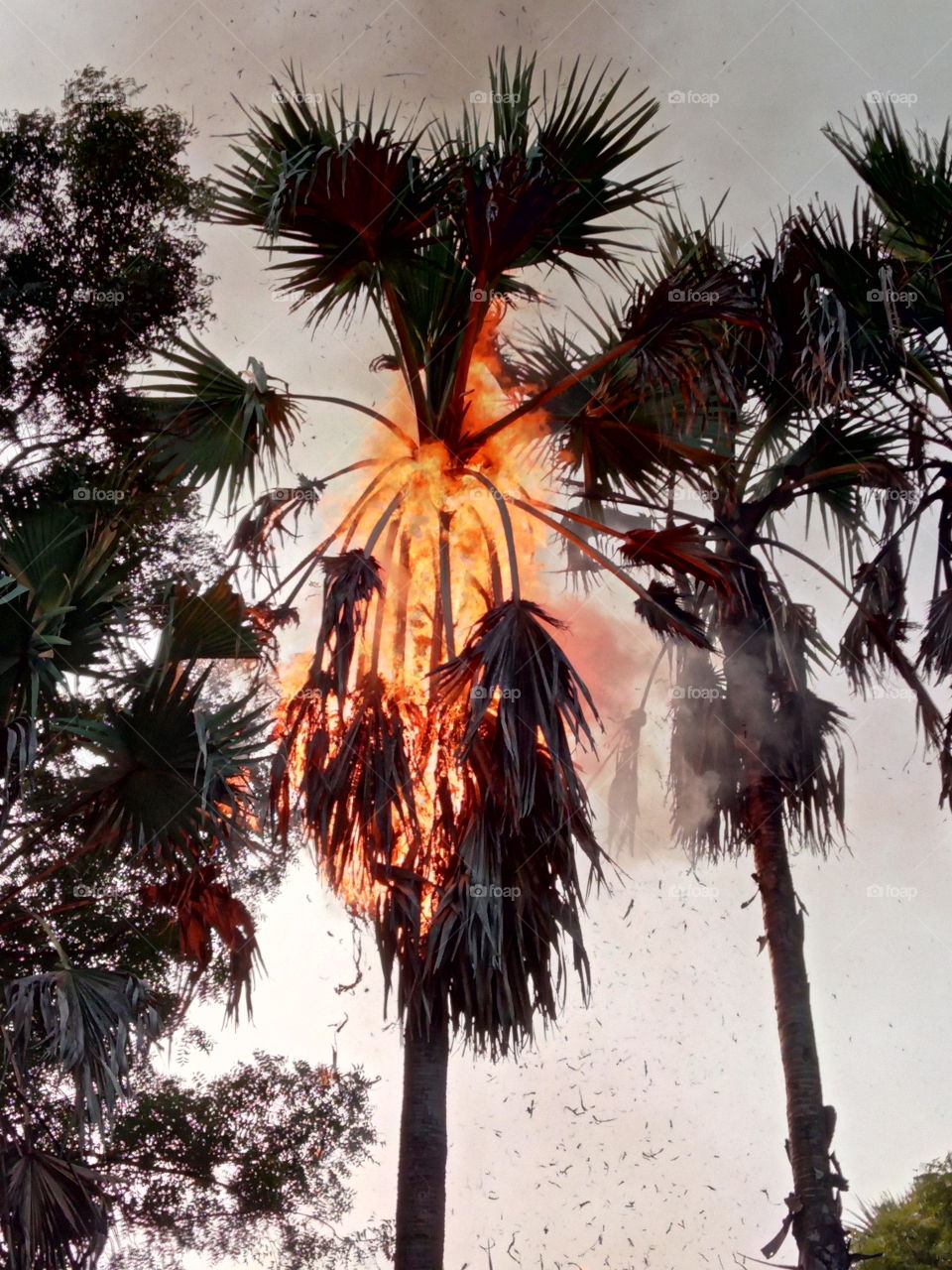 🔥 fire 🔥🔥🔥🔥🔥🔥🔥🔥🔥