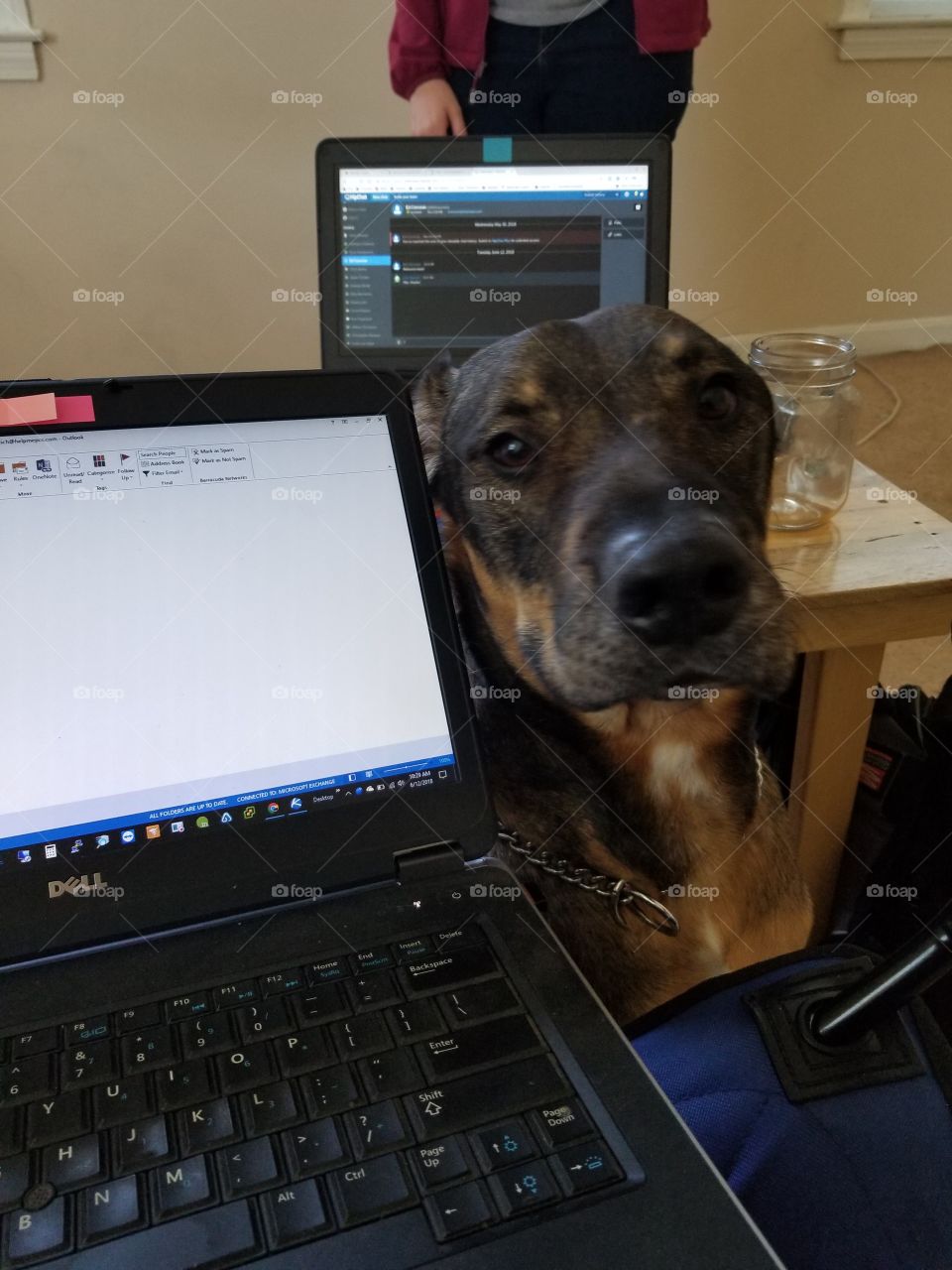 Working from home with Red