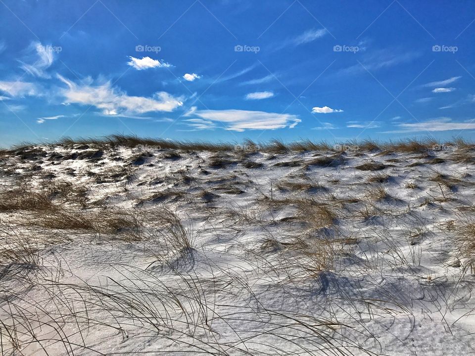 Frozen dunes...