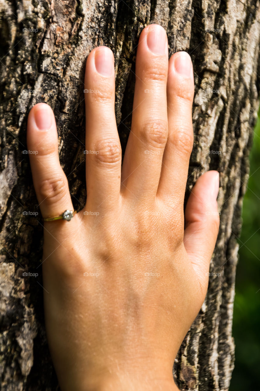 Connection with the nature . Hand in connection with the nature