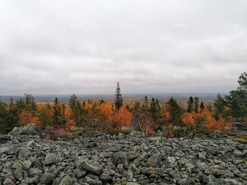 Picture of Finnish Lapland in autumn. The scenery and colors are so stunning.
