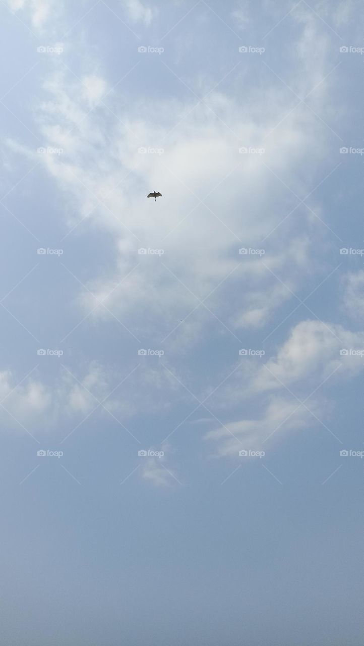 no one is with me I am alone with my spirit